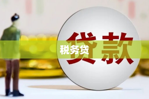 聂荣税务贷