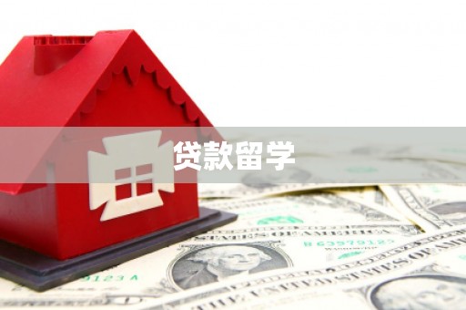 聂荣贷款留学