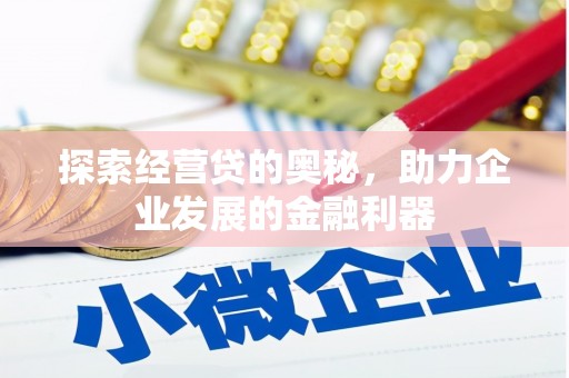 聂荣探索经营贷的奥秘，助力企业发展的金融利器