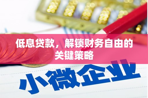 聂荣低息贷款，解锁财务自由的关键策略