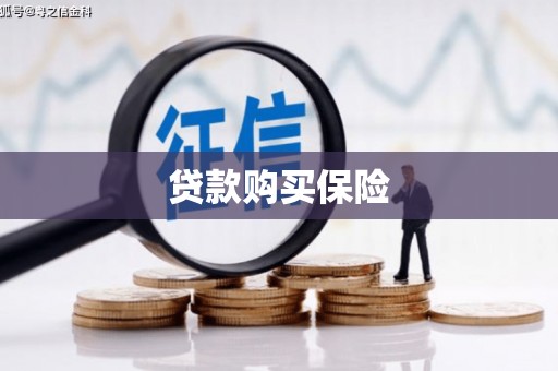 聂荣贷款购买保险