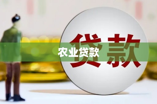 聂荣农业贷款