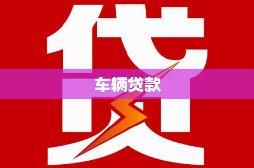 聂荣车辆贷款