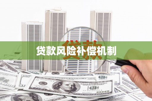 聂荣贷款风险补偿机制