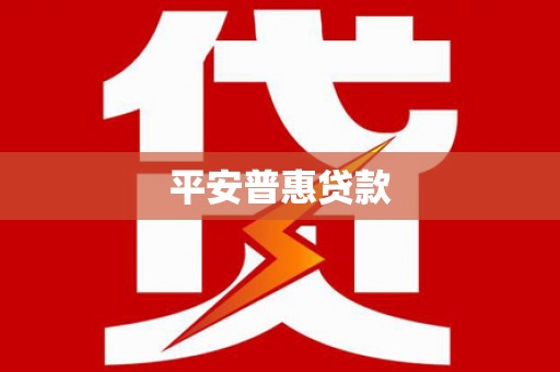 聂荣平安普惠贷款