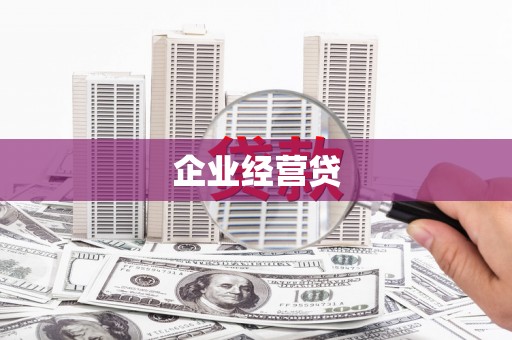 聂荣企业经营贷