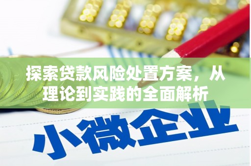 聂荣探索贷款风险处置方案，从理论到实践的全面解析