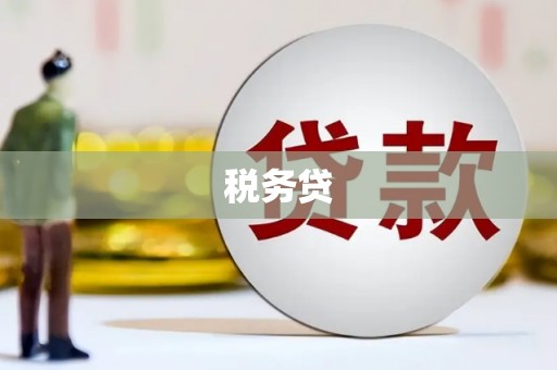 聂荣税务贷