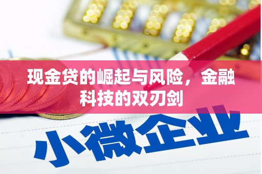 聂荣现金贷的崛起与风险，金融科技的双刃剑