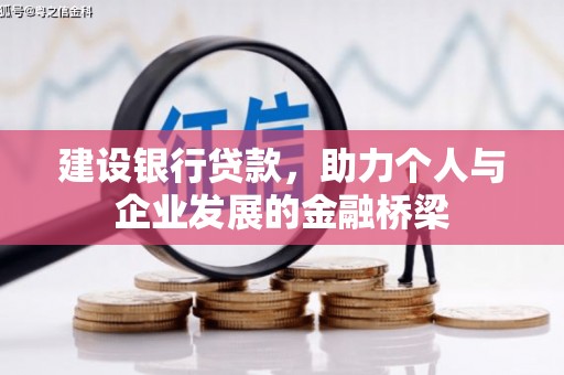 聂荣建设银行贷款，助力个人与企业发展的金融桥梁