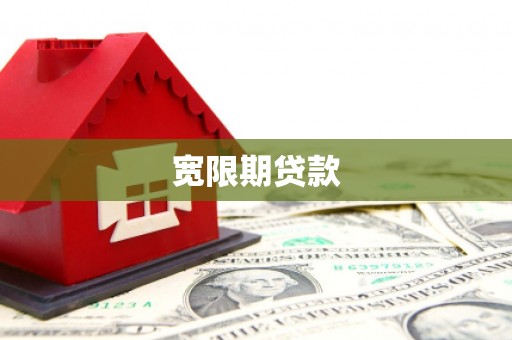 聂荣宽限期贷款