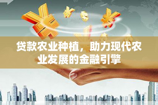 聂荣贷款农业种植，助力现代农业发展的金融引擎
