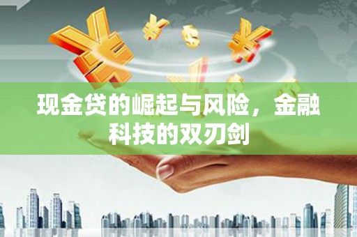 聂荣现金贷的崛起与风险，金融科技的双刃剑