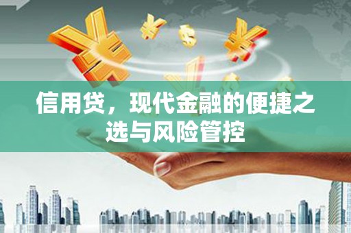 聂荣信用贷，现代金融的便捷之选与风险管控