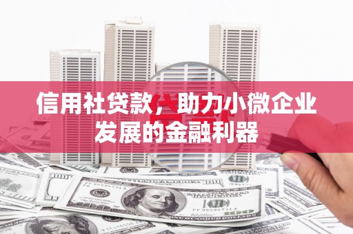 聂荣信用社贷款，助力小微企业发展的金融利器
