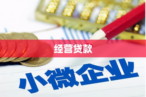 聂荣经营贷款