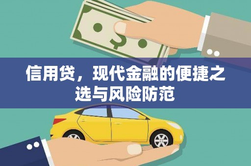 聂荣信用贷，现代金融的便捷之选与风险防范