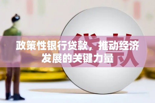 聂荣政策性银行贷款，推动经济发展的关键力量