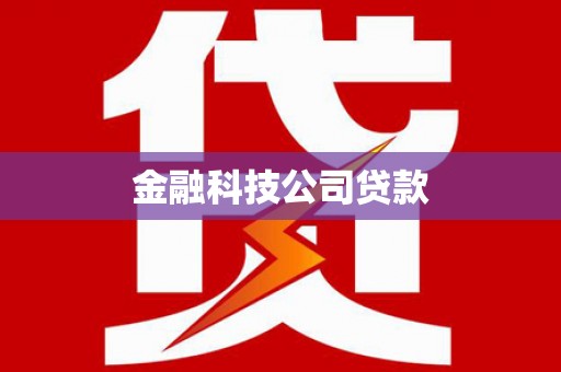 聂荣金融科技公司贷款