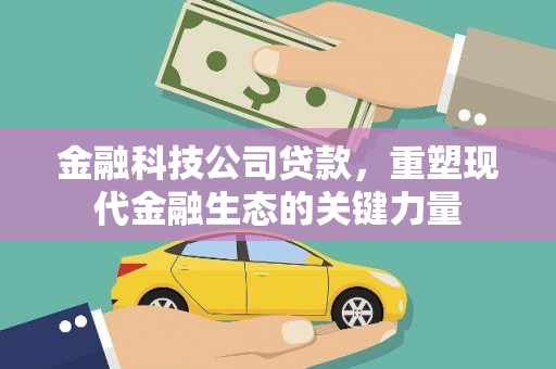 聂荣金融科技公司贷款，重塑现代金融生态的关键力量