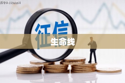 聂荣生命线