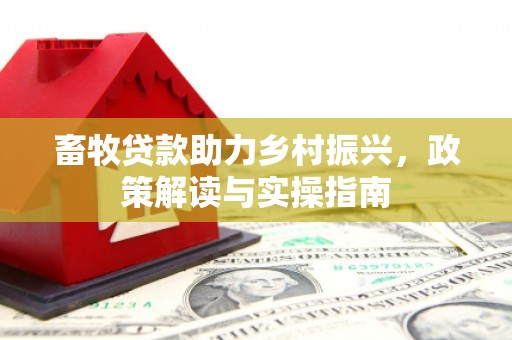 聂荣畜牧贷款助力乡村振兴，政策解读与实操指南