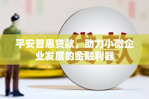聂荣平安普惠贷款，助力小微企业发展的金融利器