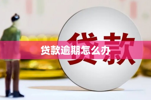 聂荣贷款逾期怎么办