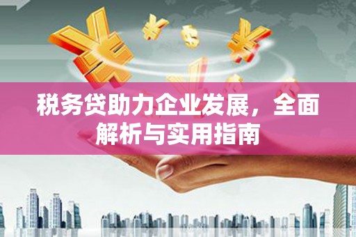 聂荣税务贷助力企业发展，全面解析与实用指南
