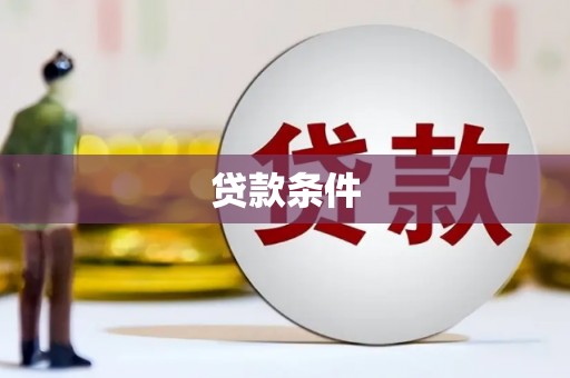 聂荣贷款条件