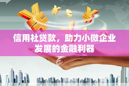 聂荣信用社贷款，助力小微企业发展的金融利器