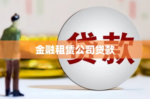 聂荣金融租赁公司贷款