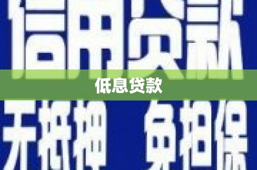 聂荣低息贷款