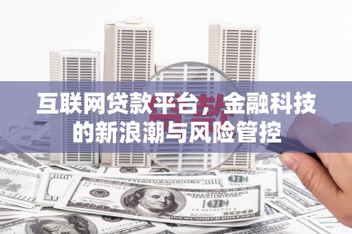 聂荣互联网贷款平台，金融科技的新浪潮与风险管控