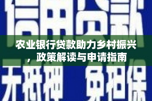 聂荣农业银行贷款助力乡村振兴，政策解读与申请指南