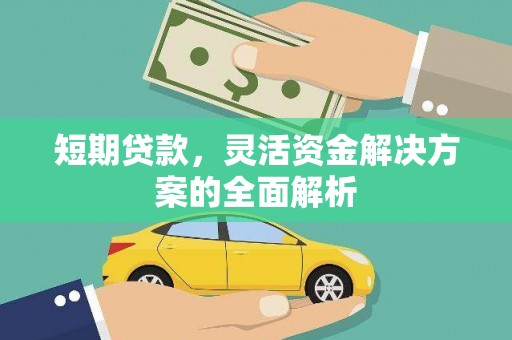 聂荣短期贷款，灵活资金解决方案的全面解析