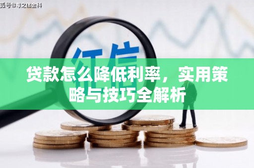 聂荣贷款怎么降低利率，实用策略与技巧全解析