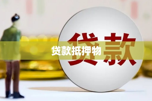聂荣贷款抵押物