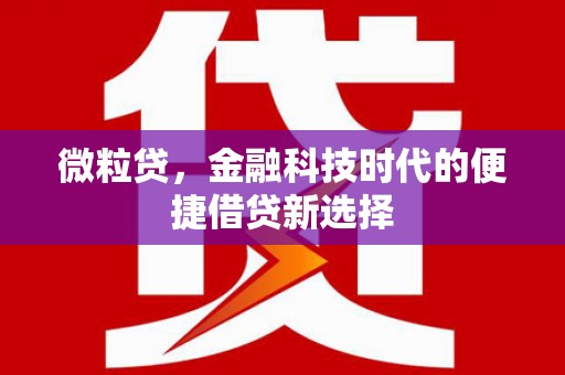 聂荣微粒贷，金融科技时代的便捷借贷新选择