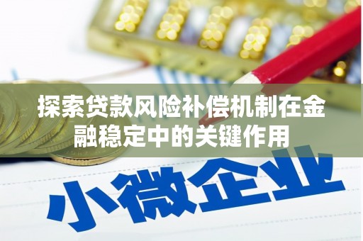 聂荣探索贷款风险补偿机制在金融稳定中的关键作用
