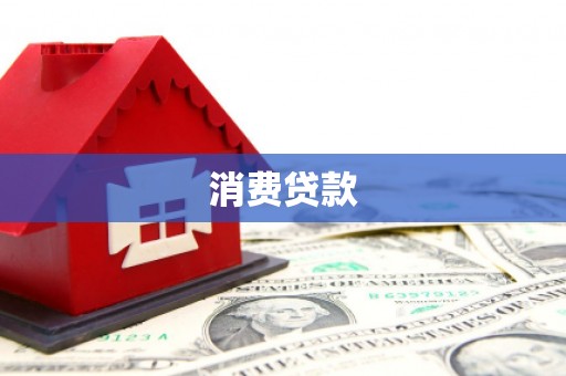 聂荣消费贷款