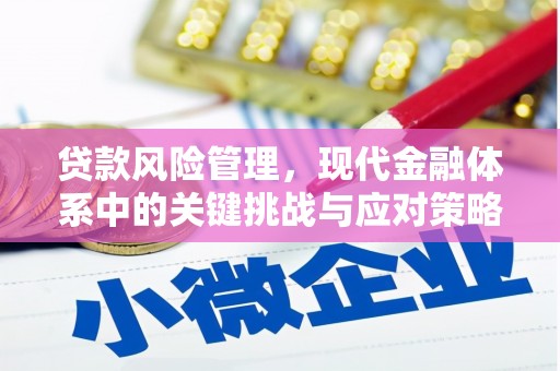 聂荣贷款风险管理，现代金融体系中的关键挑战与应对策略