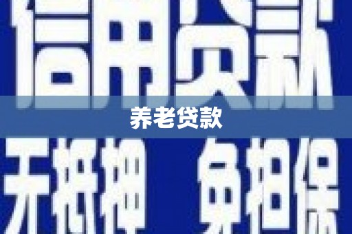 聂荣养老贷款