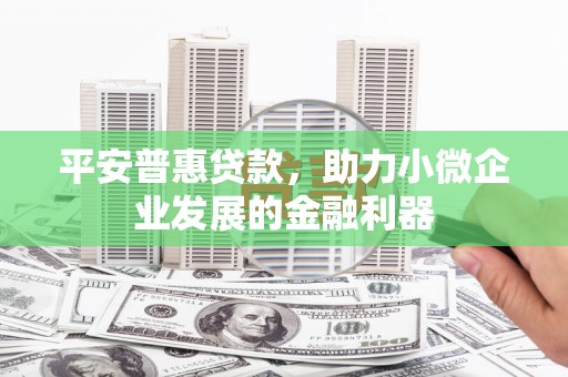 聂荣平安普惠贷款，助力小微企业发展的金融利器