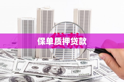 聂荣保单质押贷款