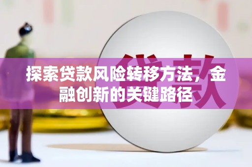 聂荣探索贷款风险转移方法，金融创新的关键路径