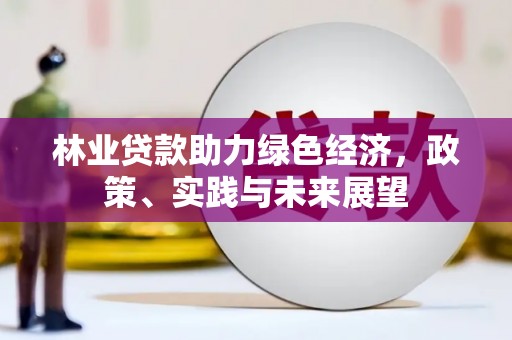 聂荣林业贷款助力绿色经济，政策、实践与未来展望