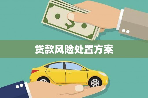 聂荣贷款风险处置方案