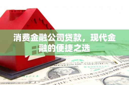 聂荣消费金融公司贷款，现代金融的便捷之选