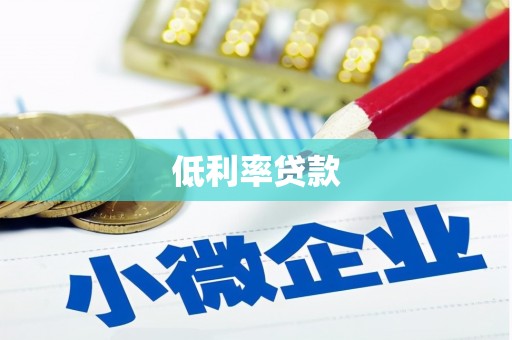 聂荣低利率贷款